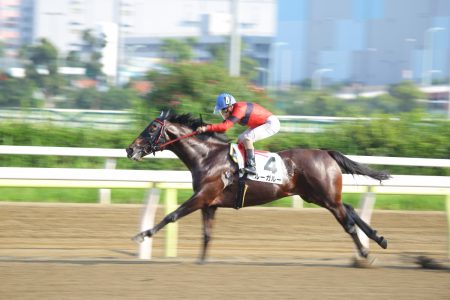 写真教室なかまはじめての写真展