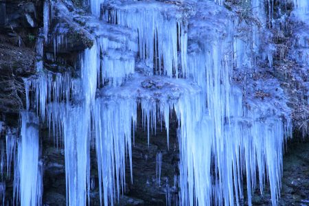 総合写真展審査員奨励賞