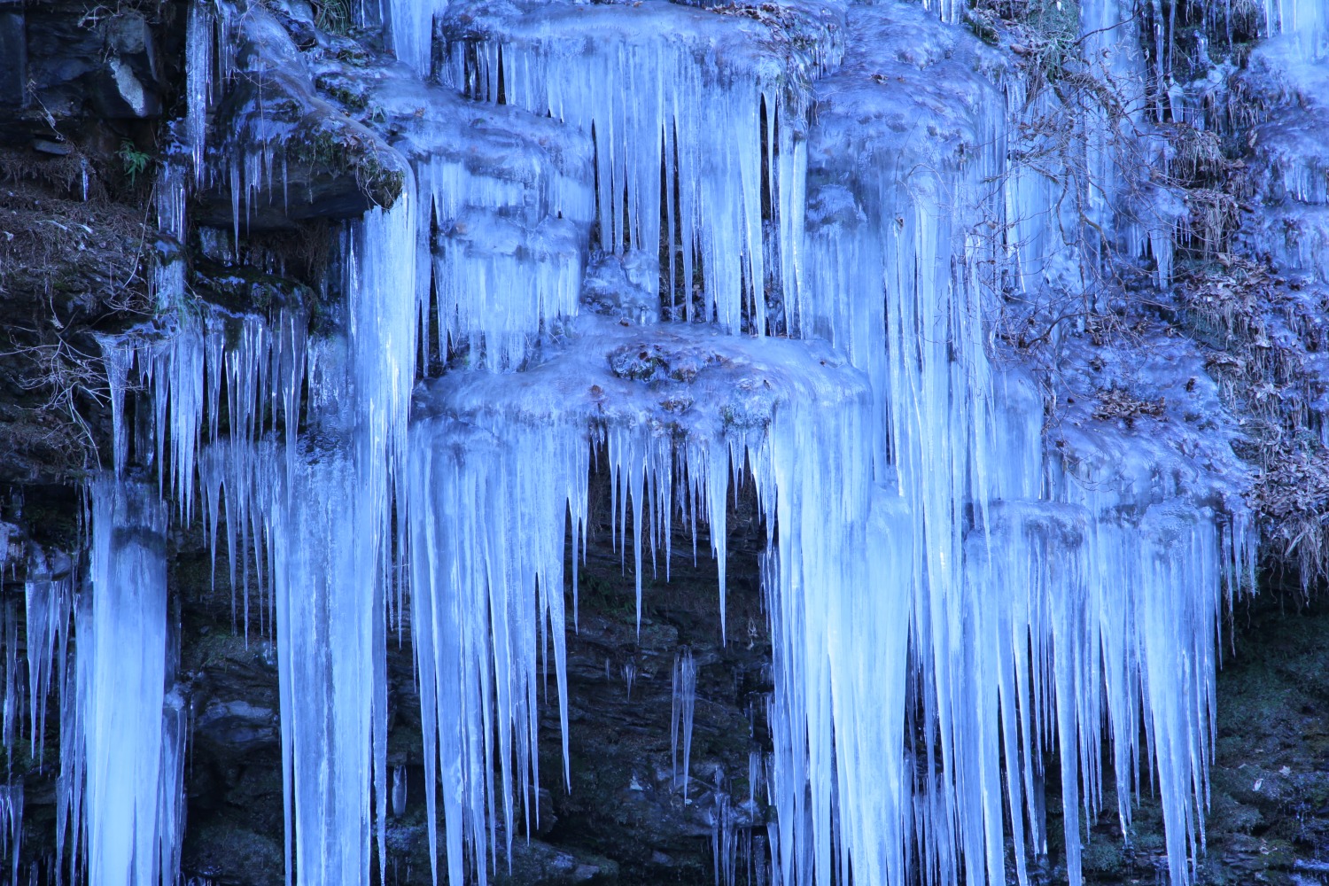 総合写真展審査員奨励賞