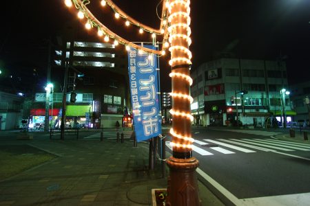 写真と絵で見る新狭山風景展